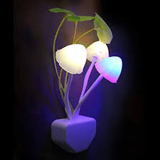 Amazon Com We6ytlfy 7 Color Changing Romantic Mushroom Led Night Light Lamp Party Decor Szruy03 Home Kitchen