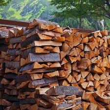 best firewood choices to burn chimney