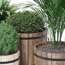 Wooden Barrel Pots With Plants 73608