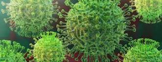 What Is Coronavirus? | Johns Hopkins Medicine