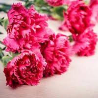 Book your order to send online flowers, cakes, dry fruits, sweets, fruits baskets, kitchenware, sarees and soft toys gifts for your mother on mothers. Mother S Day Flowers Delivery Send Flowers For Mother S Day 2020 Bloomsvilla