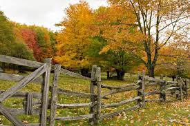Rails placed narrow side up sag the least and are recommended for heavy fences and those with posts that are 6 feet or more apart. 28 Split Rail Fence Ideas For Acreages And Private Homes Home Stratosphere