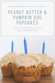 Dog cake recipes that have only a few key ingredients are the best. Easy Peanut Butter And Pumpkin Dog Birthday Pupcakes Simply Put Jo Dog Cake Recipes Dog Birthday Cake Dog Birthday Cake Easy