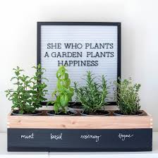 25+ happy herb garden ideas for indoors and outdoors to put a smile on your face! Diy Herb Garden Planter Fun365