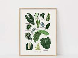 Print Plant Poster Printable Wall Art