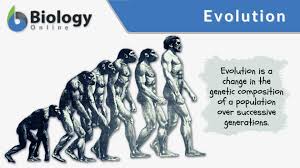 evolution definition and exles