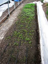 Love Apple Farms Soil Heating Cables Work