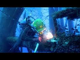 Videos Matching Underwater Welding Nuclear Power Plant