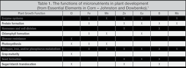 micronutrients for corn ion