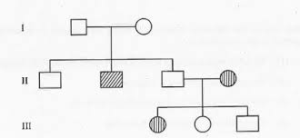 From The Following Pedigree Chart Of A Family One Can Make