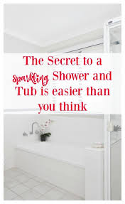 easy diy soap s and bath tub cleaner
