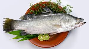 barramundi and how should you cook