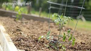 15 Tips For First Time Gardeners The