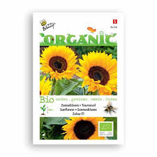 Buzzy Organic Sunflower Zohar F1