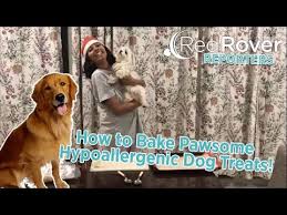 pawsome hypoallergenic dog treats