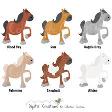 Horse Color Chart Digital Set For Personal Free Image