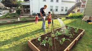 how to build a raised vegetable garden