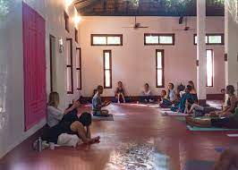 about our yoga centre purple valley yoga