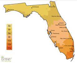 planting zones florida hardiness