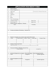 Auto Credit Application Template