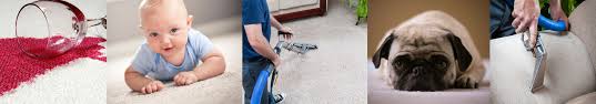 south bay carpet cleaning upholstery