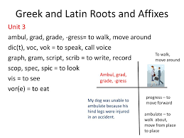Ppt Greek And Latin Roots And Affixes Powerpoint