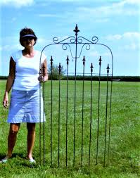 Relic Ornate Wrought Iron Garden Gate