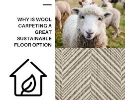 why is wool carpeting a great