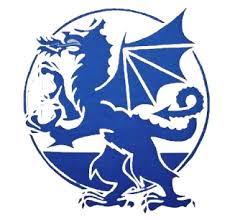 In 1905 the committee applied to change the club's name to cardiff city following the granting of a city charter. Cardiff City Blue Dragons Wikipedia