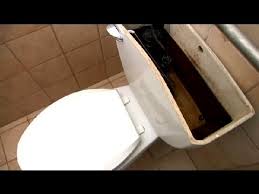 Toilet Problems Flushing Bubbling