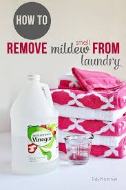 remove mildew smell from clothes