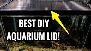 the best diy aquarium lids you