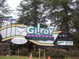 golden tickets allow gilroy residents