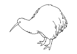 Here is a free coloring page of kiwi. Amazing Animal Kiwi Bird Coloring Pages Download Print Online Coloring Pages For Free Color Nimbus In 2021 Kiwi Animal Bird Coloring Pages Kiwi Bird