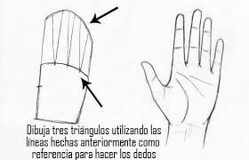 paso-4-para-dibujar-una-mano | Como dibujar manos, Aprender a dibujar, Cómo  dibujar