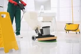 eco cleaning service professional