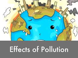Air Pollution And Deforestation Infographics Faithful Air