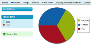 Infallible Techie Pie Chart Using Apex In Salesforce