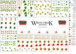 Raised Garden Bed Layout White Creek