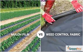 Mulch S Vs Weed Control Fabric