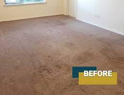 1 carpet cleaning in pasco 5 star