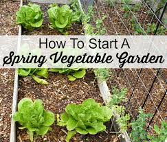 How To Start A Spring Vegetable Garden