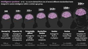 12 Interesting Facts About Iq To Entertain Your Brain