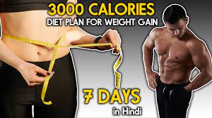 3000 calories indian t plan for
