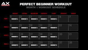 best beginner full body workout total