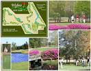 16th Best Public Golf Course in South Carolina: Golf Advisor ...