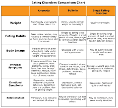 eating disorders essay autobiography essay outline vegetarianism     the Practice   Paragraph    