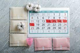 Calendrier menstruel : date des dernières règles et ovulation