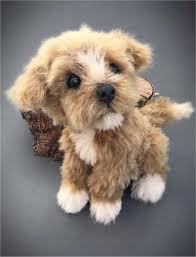 Before you continue to buy the teddy bear puppy of your own choice, we urge you to please visit the article as it will guide you through the various things you should know about: Teddy Bear Puppies Rescue Wisconsin Bmo Show