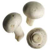 Do you cut stems off white mushrooms?